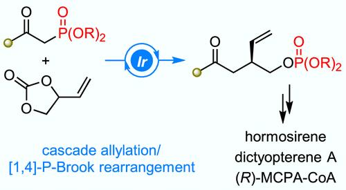 Iridium-Catalyzed Asymmetric Cascade Allylation/[1,4]-Phospha-Brook Rearrangement Reaction