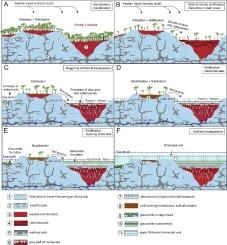 Genesis of the Rovinj-1 bauxite deposit (Istria, Croatia): Record of palaeoclimatic trends and palaeoenvironmental changes during the latest Jurassic of the Adriatic Carbonate Platform