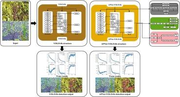 APNet-YOLOv8s: A real-time automatic aquatic plants recognition algorithm for complex environments