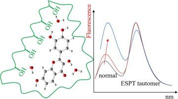 Photophysical properties of fisetin embedded in polymer matrix modulated by both bulk polarity and non-bonding interactions