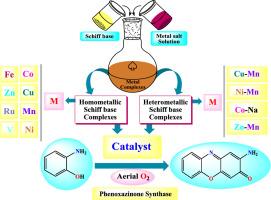 Phenoxazinone synthase-like activity: Schiff base bound model complexes