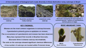 A first evaluation of biological soil crusts diversity in three distinctive rocky outcrops in Brazil