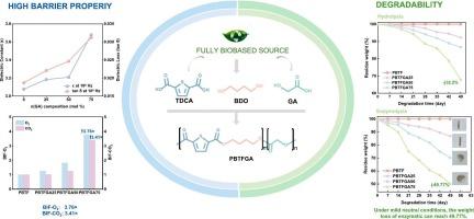 Poly(butylene 2,5-thiophenedicarboxylate-co-glycolate) copolyesters with good degradation and barrier properties