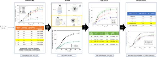 Illumination optimization strategies to enhance hydrogen productivity and light conversion efficiency for photo-fermentation by Rhodobacter sphaeroides KKU-PS1 using a concentrated multi-substrate feedstock