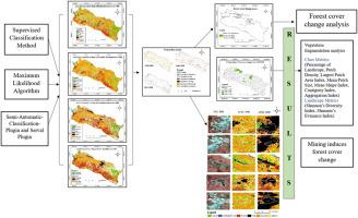 Mining-induced forest cover change of Paschim Bardhaman, a mining-based district of India