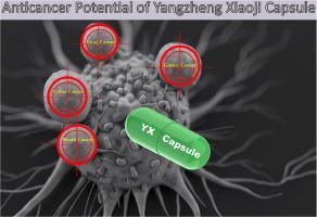 A systematic review on anticancer potential of traditional Chinese medicine (Yang Zheng XiaoJi)