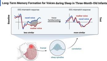 Long-term memory formation for voices during sleep in three-month-old infants