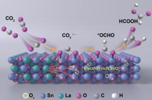 Electron‐rich SnO2 promote CO2 activation for stable electrocatalytic CO2 reduction