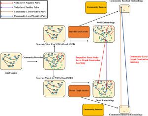 DCMSL: Dual influenced community strength-boosted multi-scale graph contrastive learning