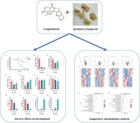 Impact of camptothecin exposures on the development and larval midgut metabolomic profiles of Spodoptera frugiperda