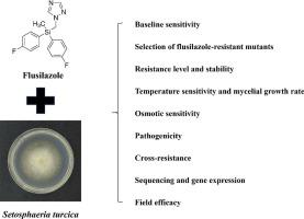 Efficiency and resistance risk of flusilazole against northern corn leaf blight caused by Setosphaeria turcica