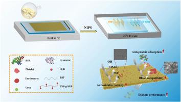 Additive-free preparation of hemodialysis membranes from silibinin-modified polysulfone polymer with enhanced performance in anti-oxidative stress and hemocompatibility