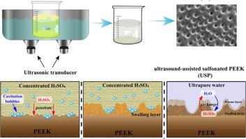 Fabrication of a macro-micro porous structure on PEEK surface by ultrasound-assisted sulfonation