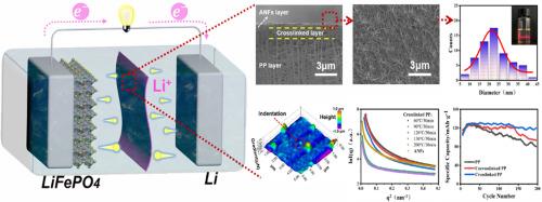 The long-lasting maintenance of the pore structure achieves the stability of lithium metal batteries