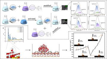 Development of high-quality and water-resistant PBG through H-PDMS modification: From experiments to molecular dynamics simulation