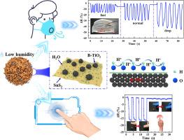 High-performance flexible humidity sensor based on B-TiO2/ SnS2 nanoflowers for non-contact sensing and respiration detection