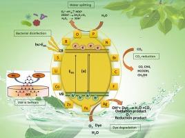 Recent advances over the doped g-C3N4 in photocatalysis: A review