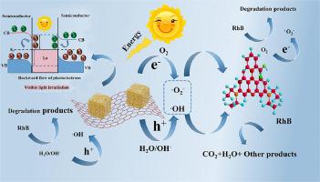 Enhancing photocatalytic degradation of La-BiVO4 through bidirectional regulation of oxygen vacancy and the Mott-Schottky effect