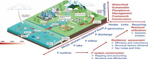 Watershed sustainable phosphorus management involving the resilience assessment: Framework and application