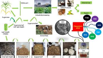 Extraction, and characterization of CNC from waste sugarcane leaf sheath as a reinforcement of multifunctional bio-nanocomposite material: A waste to wealth approach