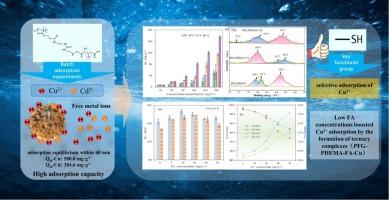 Efficient selective adsorption of Cu2+ and Cd2+ by poly(hydroxyethyl methacrylate) polymer modified by polyfunctional groups