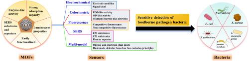 A critical review on metal organic frameworks (MOFs)-based sensors for foodborne pathogenic bacteria detection