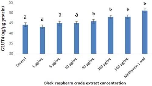 Black raspberry extract stimulates glucose uptake via adenosine monophosphate-activated protein kinase and phosphatidylinositol-3 kinase pathways in skeletal muscle cells