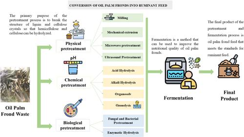 Pretreatment and fermentation of lignocellulose from oil palm fronds as a potential source of fibre for ruminant feed: a review