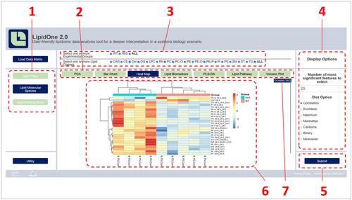 LipidOne 2.0: A Web Tool for Discovering Biological Meanings Hidden in Lipidomic Data