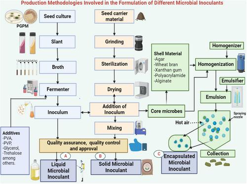 Formulation challenges associated with microbial biofertilizers in sustainable agriculture and paths forward