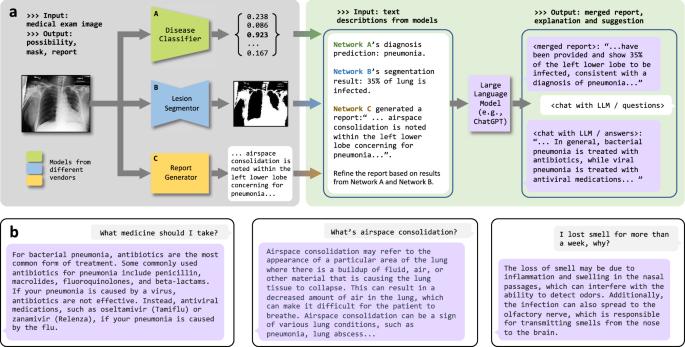 Interactive computer-aided diagnosis on medical image using large language models