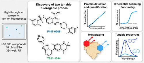 Identification of Tunable, Environmentally Responsive Fluorogenic Dyes by High-Throughput Screening