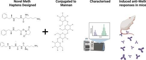 A methamphetamine vaccine using short monoamine and diamine peptide linkers and poly-mannose