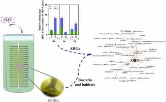 Study on the purification of aquaculture tailwater under Sulfamethoxazole stress using algae-bacteria biofilms: Nutrient removal efficiency, microbial community, and ARGs