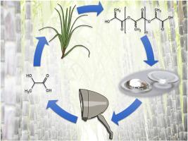 Assessment of polylactide as optical material