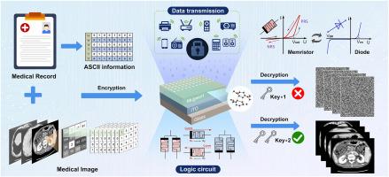 Data encryption/decryption and medical image reconstruction based on a sustainable biomemristor designed logic gate circuit