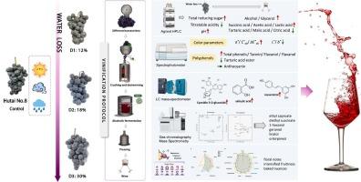 On-vine drying (passérillage) improves the quality of “Hutai No. 8” table grape wine: Focusing on phenolics, aromas, color and sensory attributes