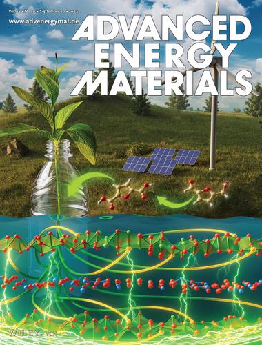 Vacancy Mediated Electrooxidation of 5-Hydroxymethyl Furfuryl Using Defect Engineered Layered Double Hydroxide Electrocatalysts (Adv. Energy Mater. 35/2024)