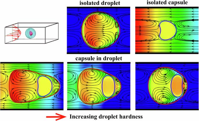 Droplets can enhance microcapsule deformation in channel flow