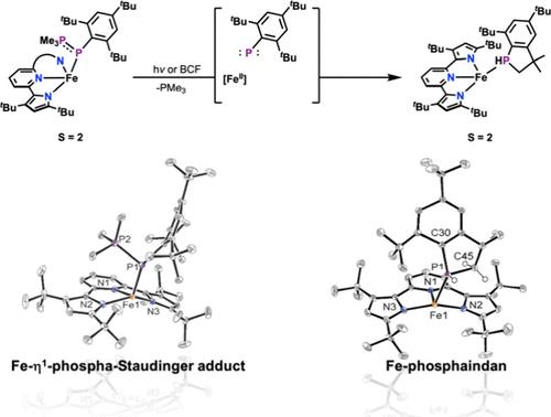 Flash Communication: A Ferrous Adduct of a Phosphanylidene-σ4-phosphorane