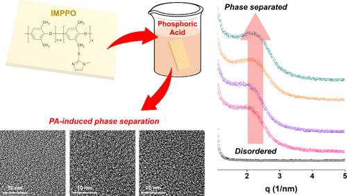 Acid-Doping Induced Phase Separation for Shaping Phase Morphology and Enhancing Performance of Polymer Electrolyte Membranes