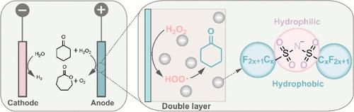 Interfacial Anion-Induced Dispersion of Active Species for Efficient Electrochemical Baeyer–Villiger Oxidation