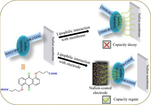 Turning Adversity into Advantage: Investigating the Capacity Decay Mode of Carboxylate Functionalized-Anthraquinone in Organic Redox Flow Batteries