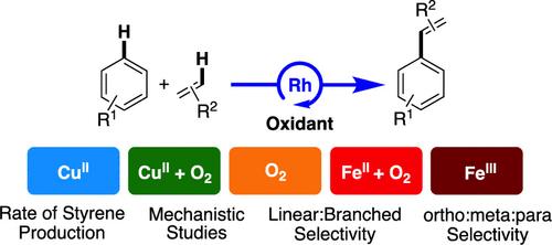 Rhodium-Catalyzed Arene Alkenylation: Selectivity and Reaction Mechanism as a Function of In Situ Oxidant Identity