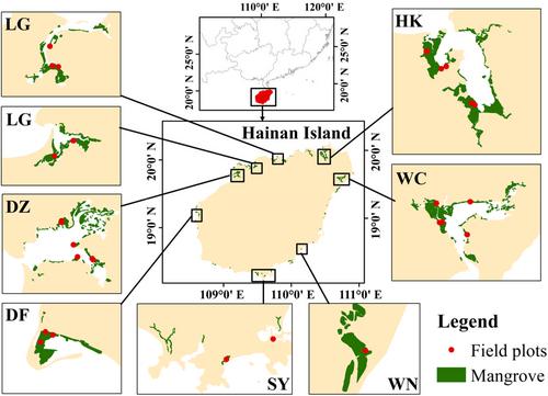 Optimizing mangrove afforestation: Mollusc biodiversity comparisons reveal optimal mudflat–mangrove area ratio