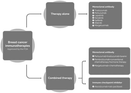 Breast cancer immunotherapy: Realities and advances