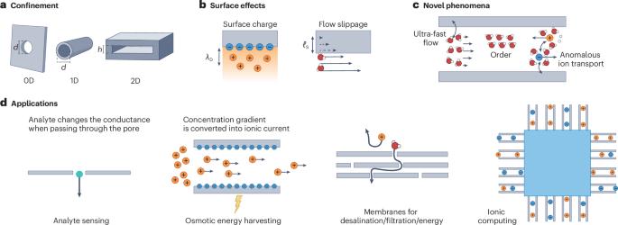 Nanofluidics