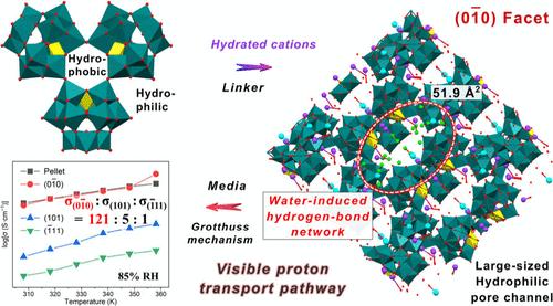 Hydrophilic vs Hydrophobic: Exploring Facet-Dependent Proton Transport Channels in Single Crystal of Ring-Shaped Trimeric Isopolytungstate