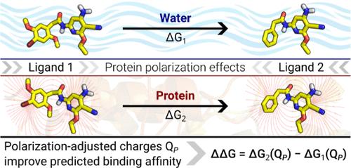 Effect of Protein-Polarized Ligand Charges on Relative Protein Ligand Binding Affinities