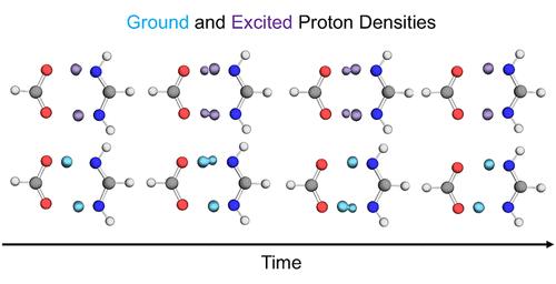 Nonadiabatic Hydrogen Tunneling Dynamics for Multiple Proton Transfer Processes with Generalized Nuclear-Electronic Orbital Multistate Density Functional Theory